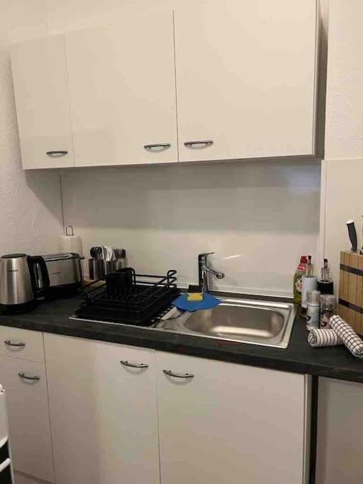Lux Apartment Near Frankfurt! Mörfelden-Walldorf Eksteriør bilde